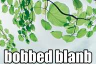 distorted image of a plant, labelled 'bobbed blanb'